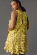 Load image into Gallery viewer, Maeve Sleeveless Floral Appliqué Mini Dress