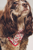 Load image into Gallery viewer, The Foggy Dog Ruffle Pet Bandana
