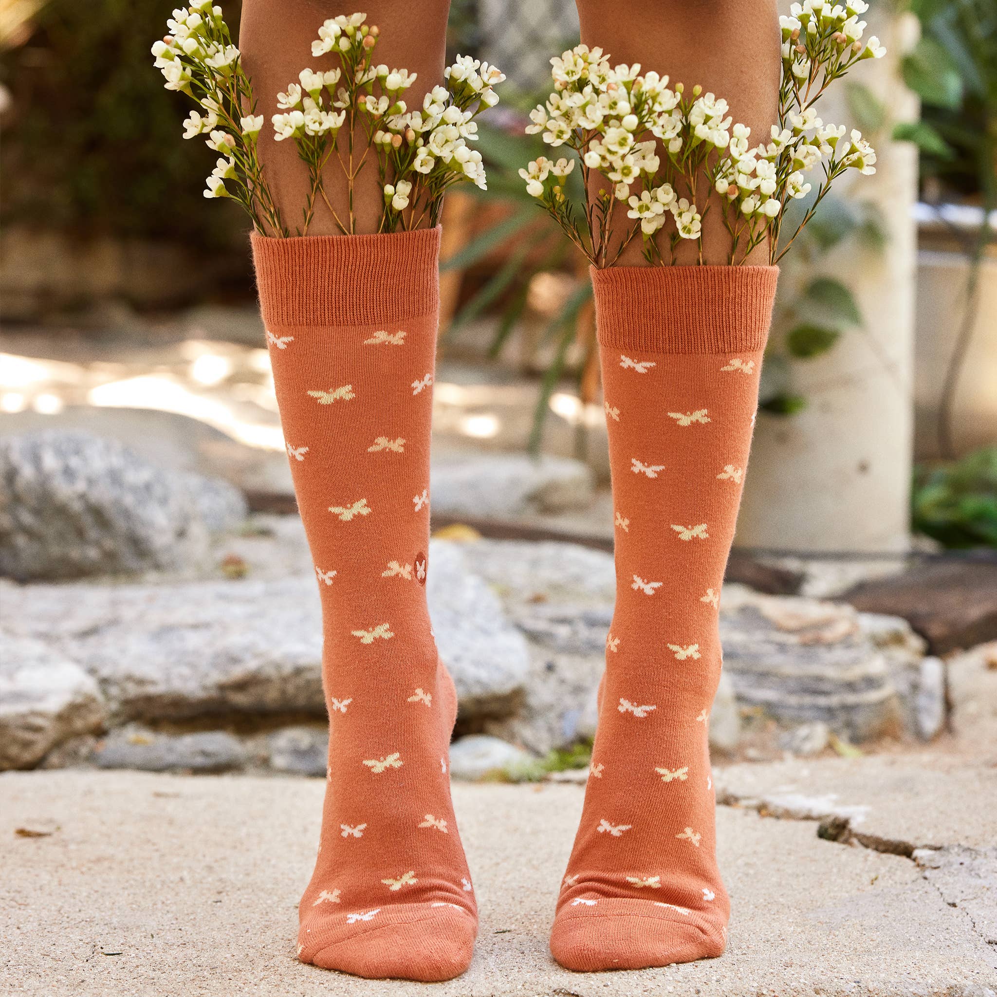 Boxed Set Socks that Stop Violence Against Women: Medium