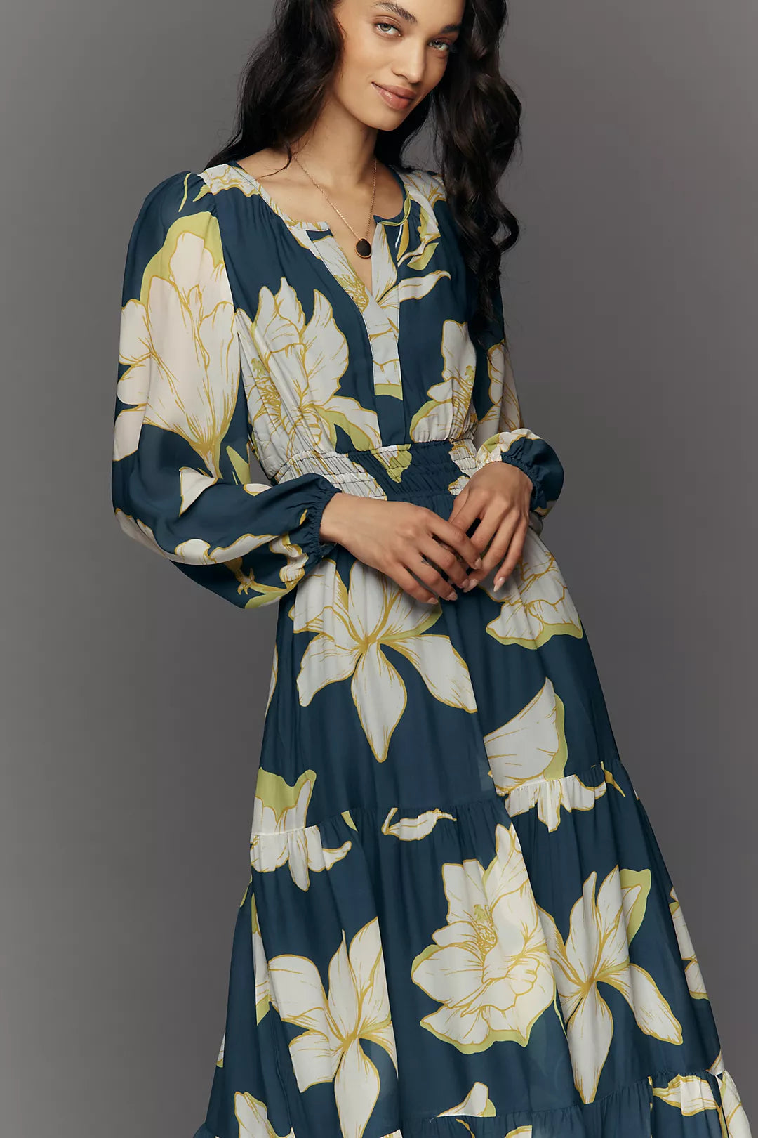 Somerset Maxi Dress: Long-Sleeve Chiffon Edition