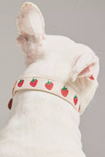 Load image into Gallery viewer, By Anthropologie Icon Pet Collar

