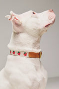 Load image into Gallery viewer, By Anthropologie Icon Pet Collar
