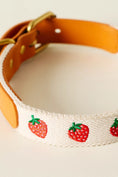 Load image into Gallery viewer, By Anthropologie Icon Pet Collar
