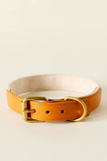 Load image into Gallery viewer, By Anthropologie Icon Pet Collar

