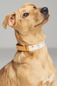 Load image into Gallery viewer, Anthropologie Summer Icon Needlepoint Pet Collar
