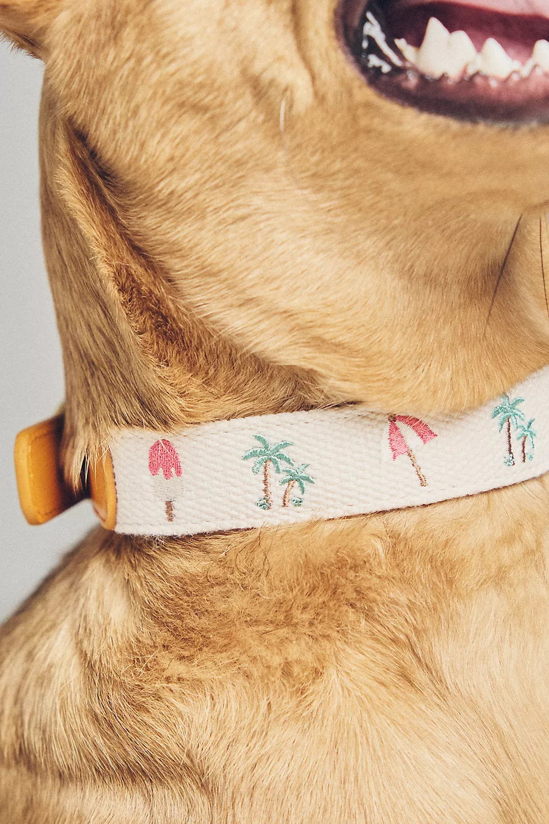 Anthropologie Summer Icon Needlepoint Pet Collar