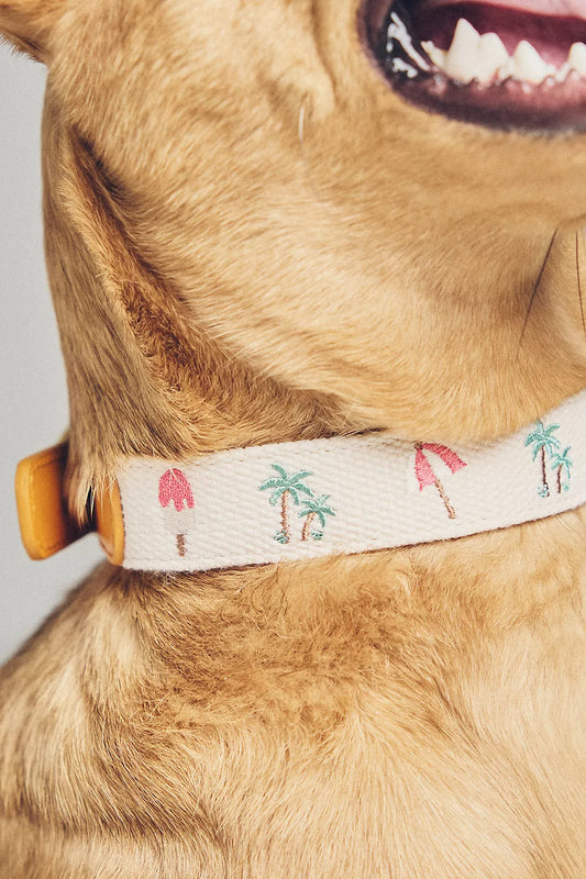 Anthropologie Summer Icon Needlepoint Pet Collar