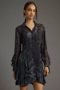 Load image into Gallery viewer, By Anthropologie Long-Sleeve Sheer Mini Dress
