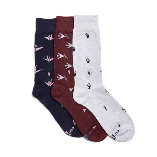 Boxed Set Socks that Fight for Equality: Medium