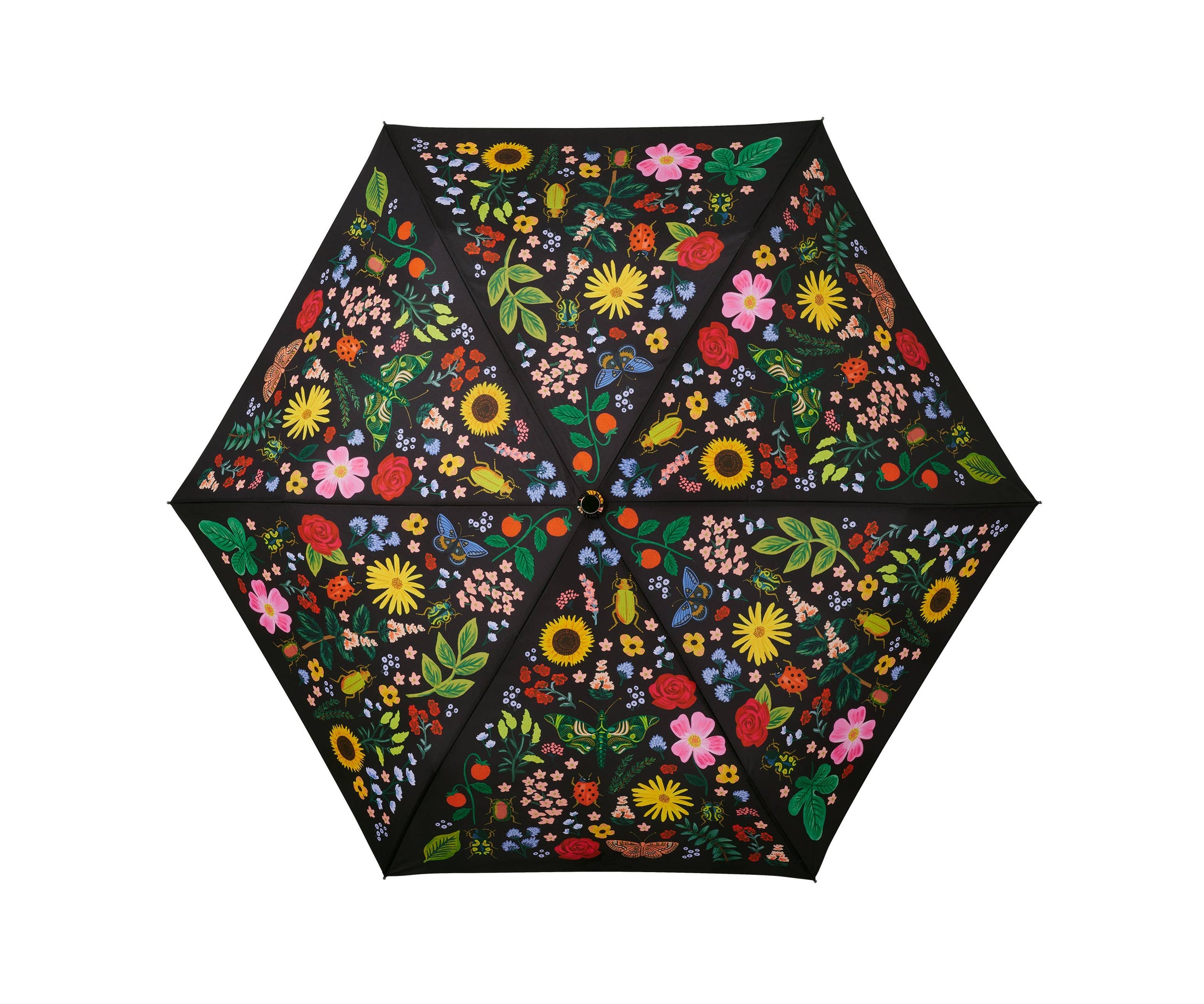 Curio Umbrella
